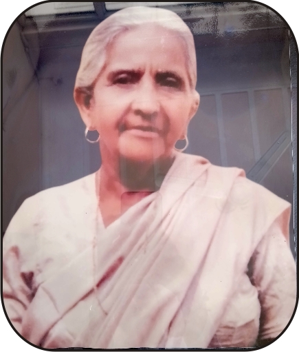 LDM College Secondary Logo